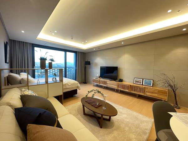 Super Studio, 1R, 1BA, 30Meals/mo, 6Rounding/mo. photo 4