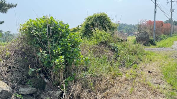 150,000 won by m2, 15,230m2 + ② + ③, Forest Land photo 2