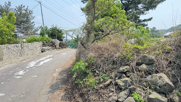 150,000 won by m2, 15,230m2 + ② + ③, Forest Land photo 3