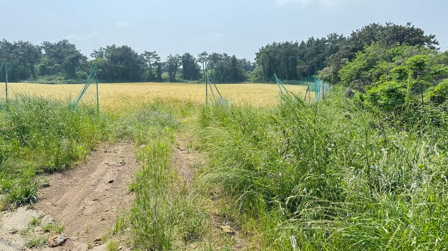 150,000 won by m2, 15,230m2 + ② + ③, Forest Land 1